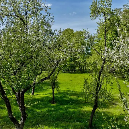 Rehwiese * 부르크